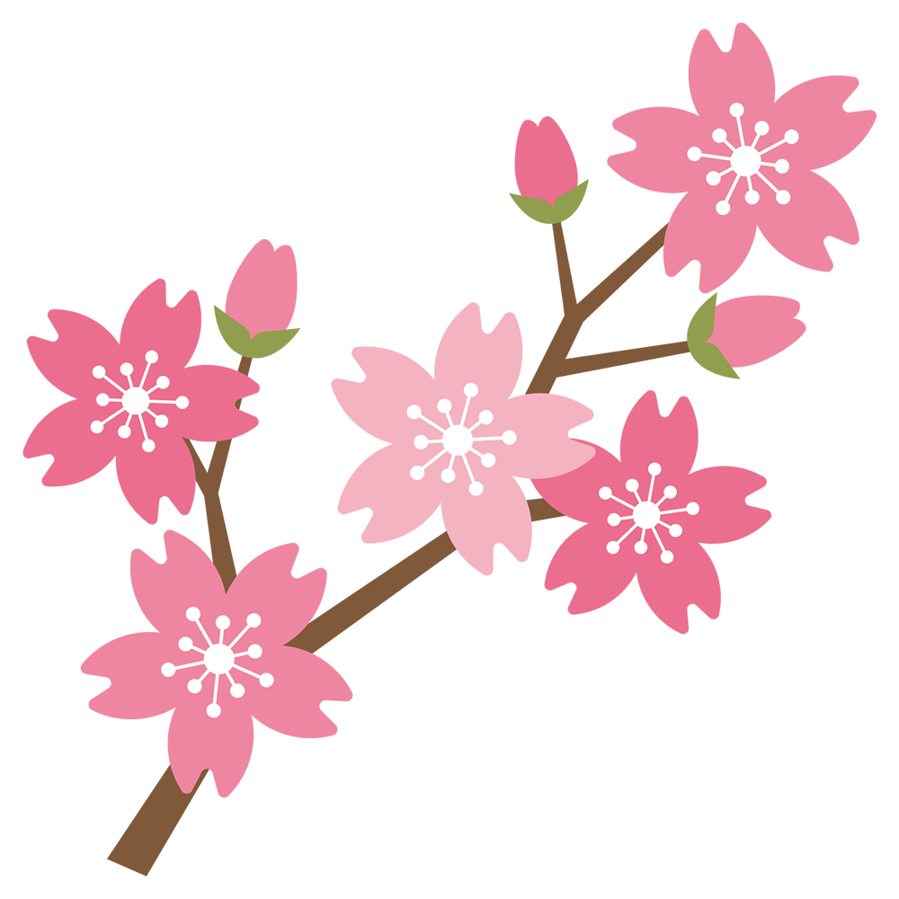SSCの芸術祭シリーズ②：桜